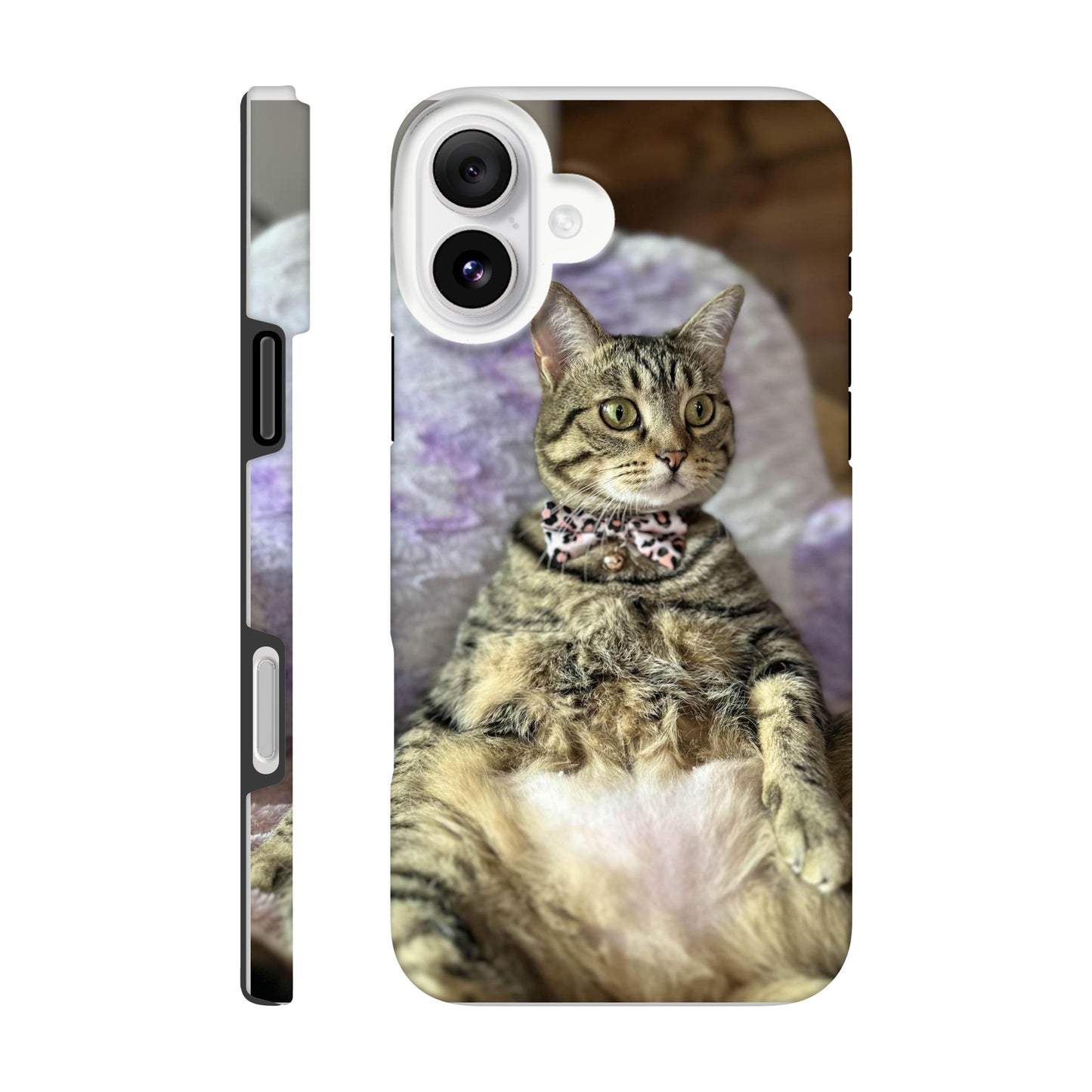 6a94ea0e-650e-4f44-b069-fb836f9ab69f