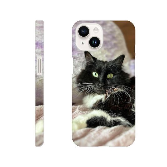 edb3b353-470c-4395-886d-fedc571c239d