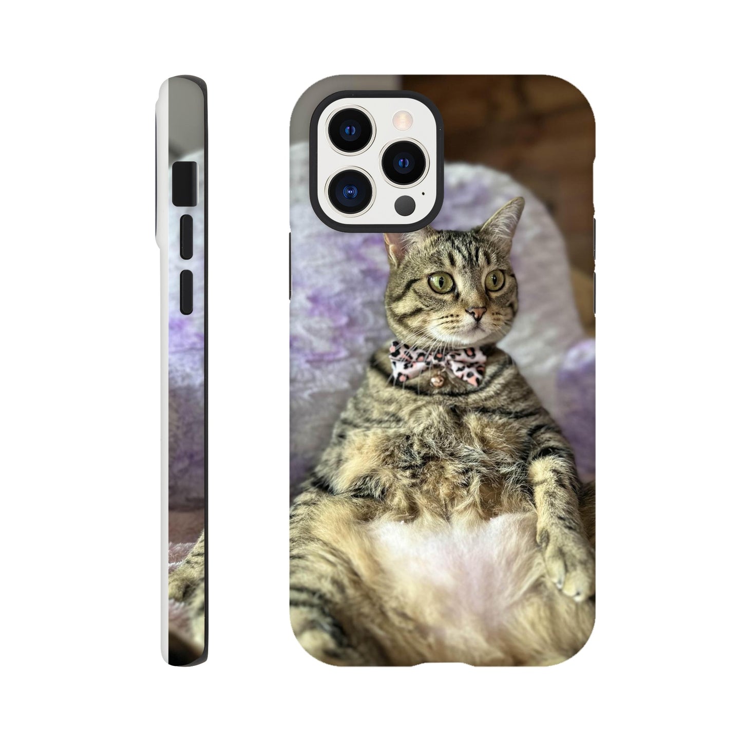 09f9c3e6-871c-4fce-bb4e-f29240141e34