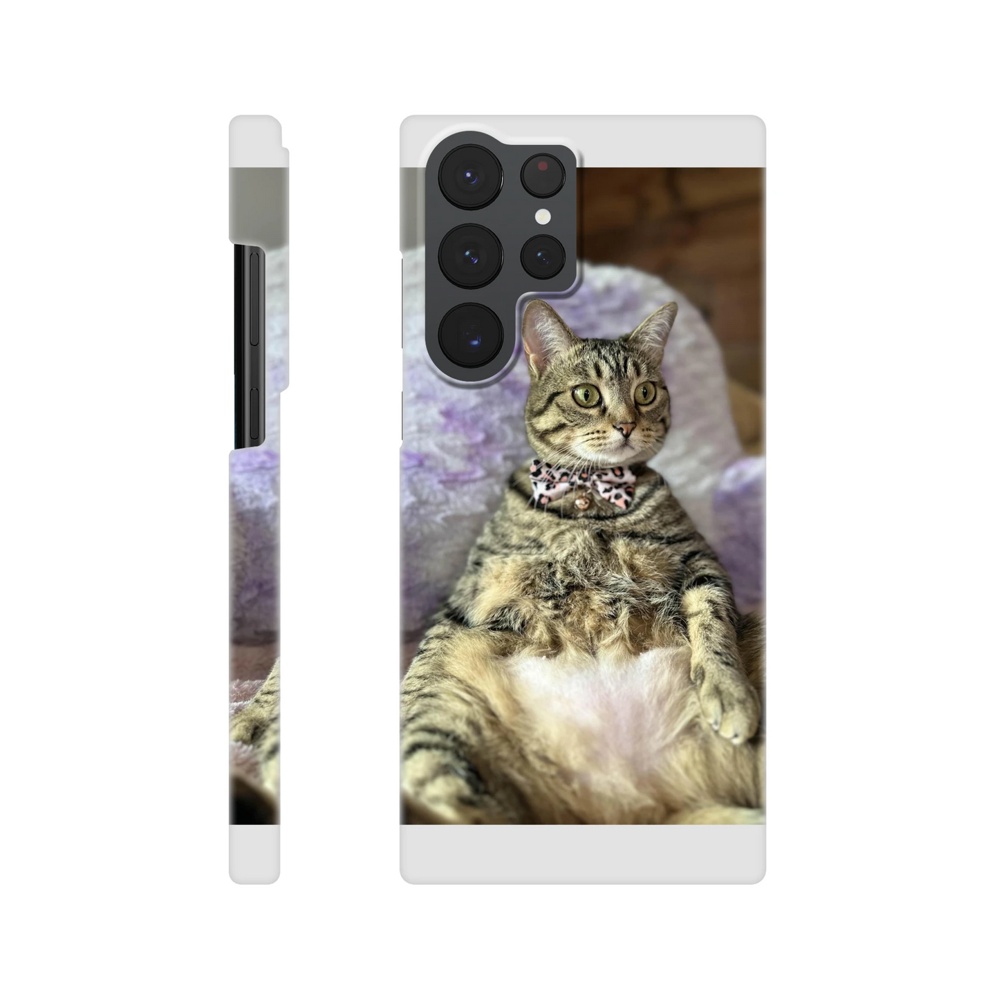 13bd9a6b-f62f-4880-b059-ac3ebe327d40