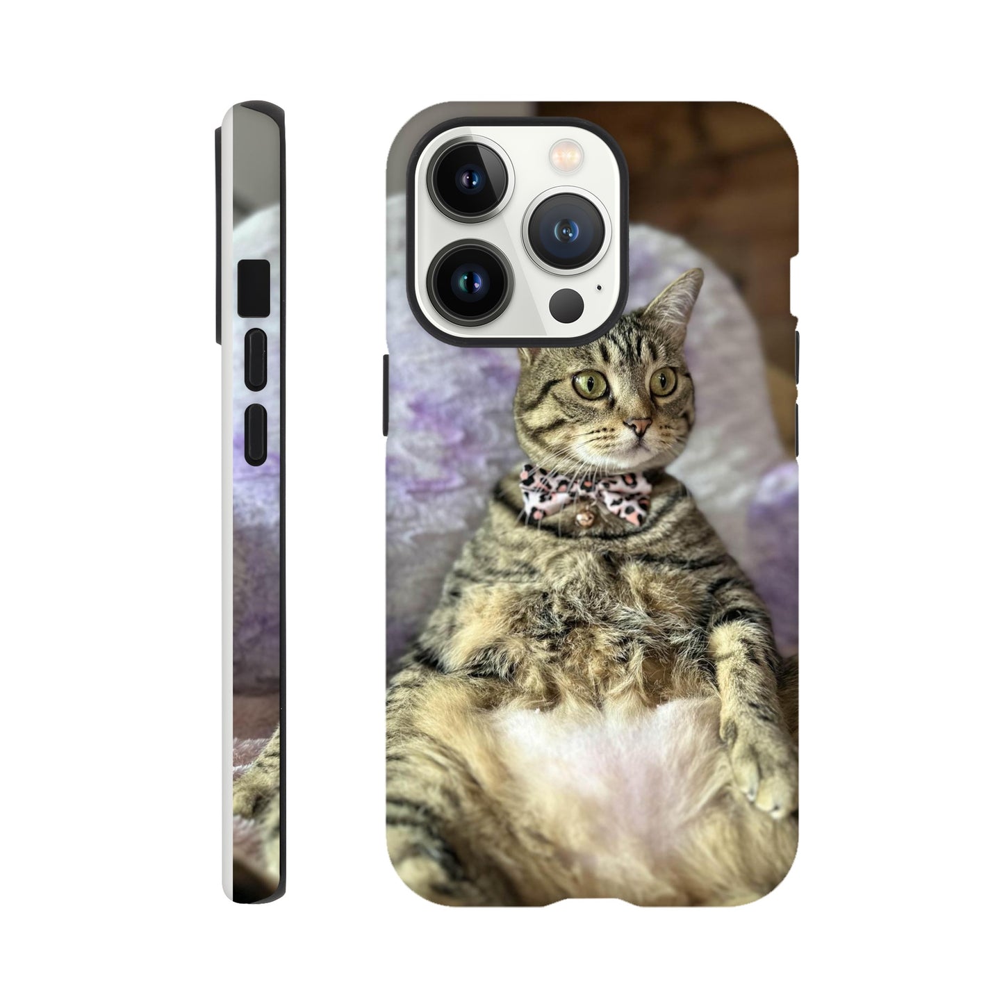 1498df49-1ea7-4349-bd6f-d9e942ab7cd6