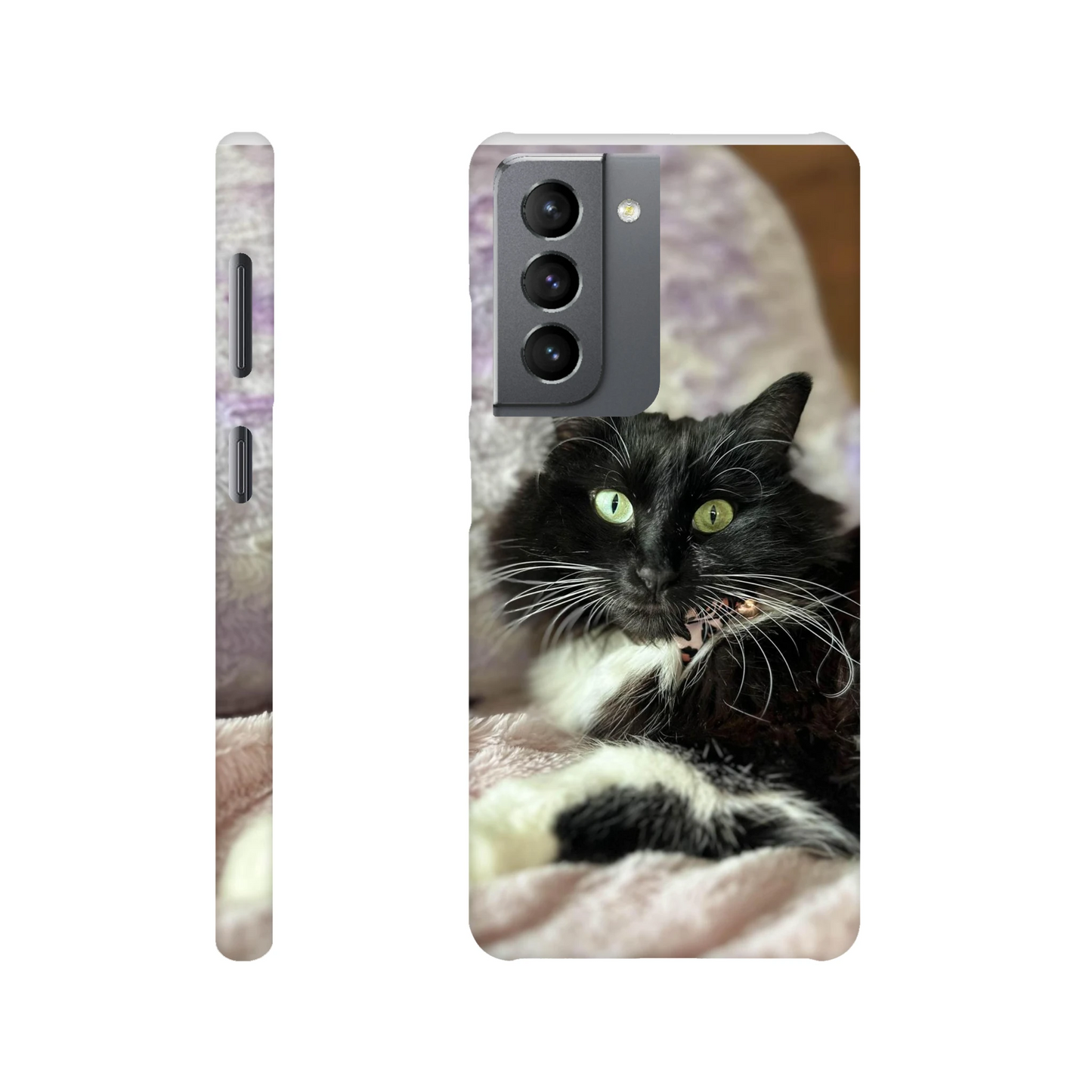 36283097-a02c-4efd-9c54-6c6ec1ab4209