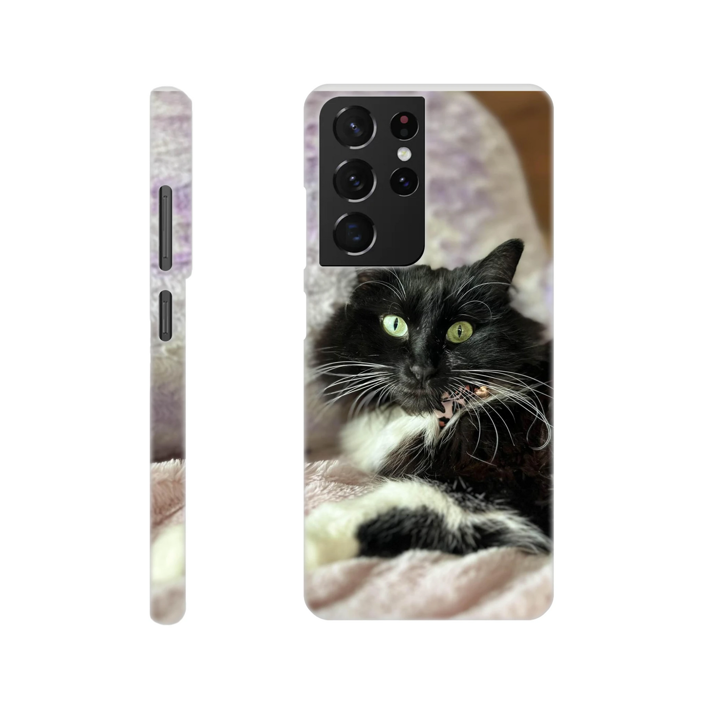 3bf7eabc-18d7-458f-ab1b-75d85d5fd59d