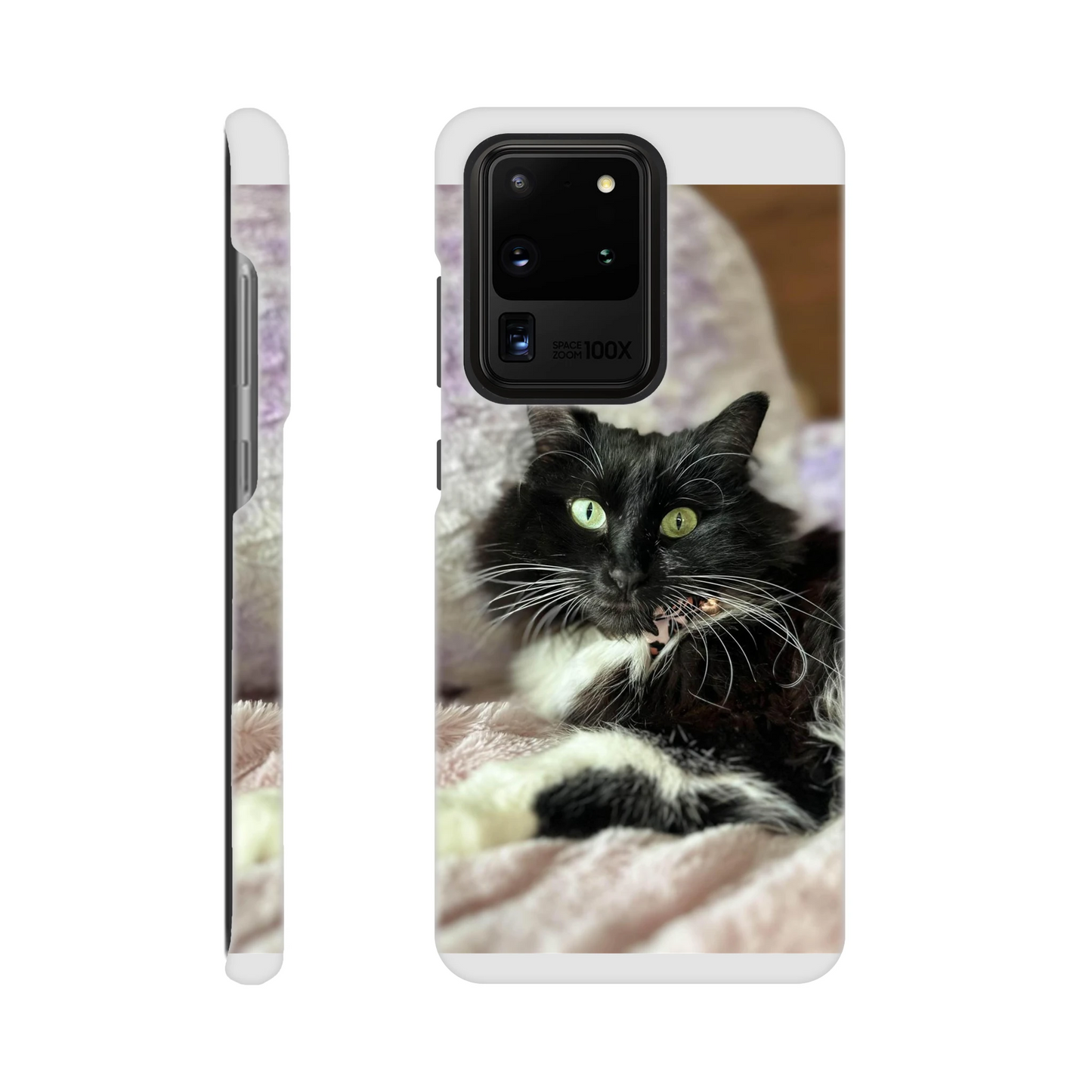 4794fd5b-d029-4841-93b1-4763fcaa85d6