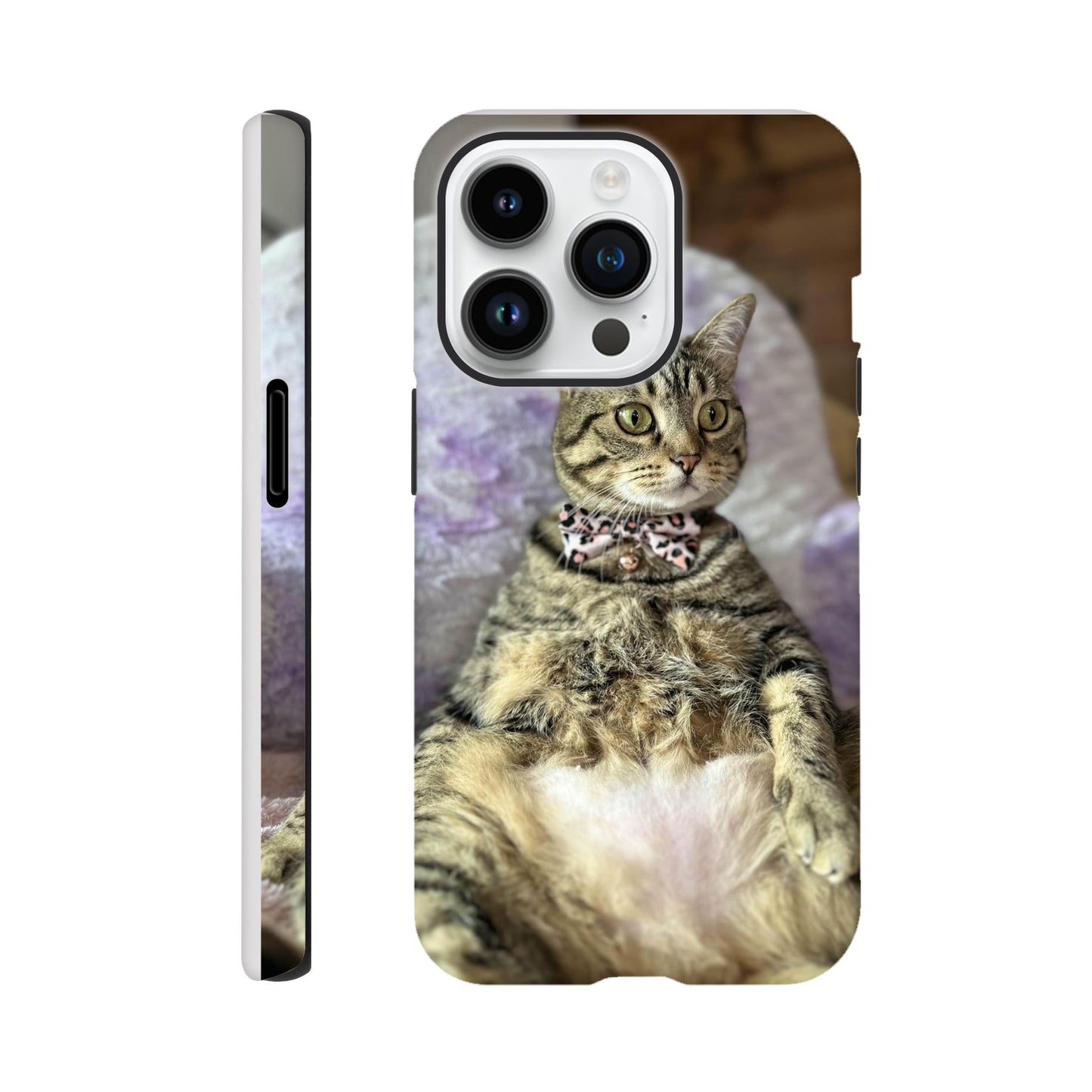 493e6707-a340-4087-91dc-85a5c8248cdb