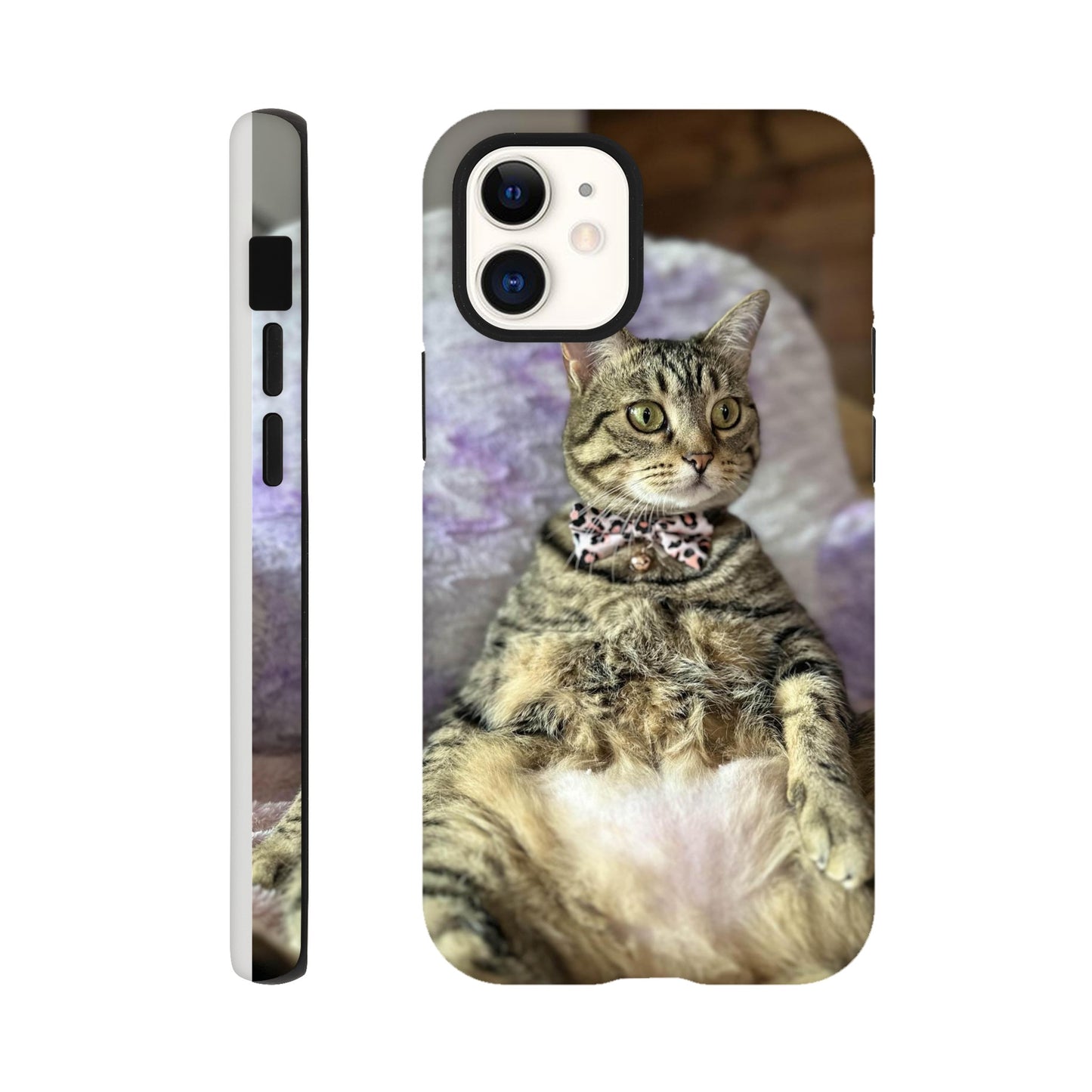 4b800179-6446-4224-ae70-e6dc763a79bc