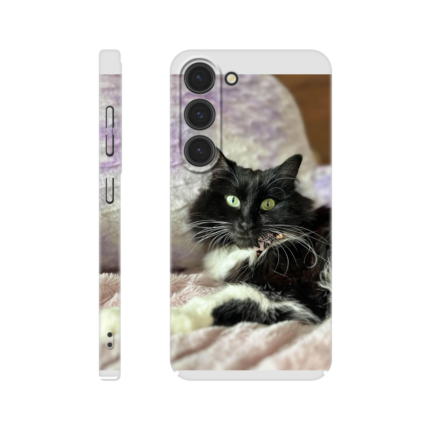 4c3779ae-a3d3-4b7a-b9c2-347cbb61c6a4