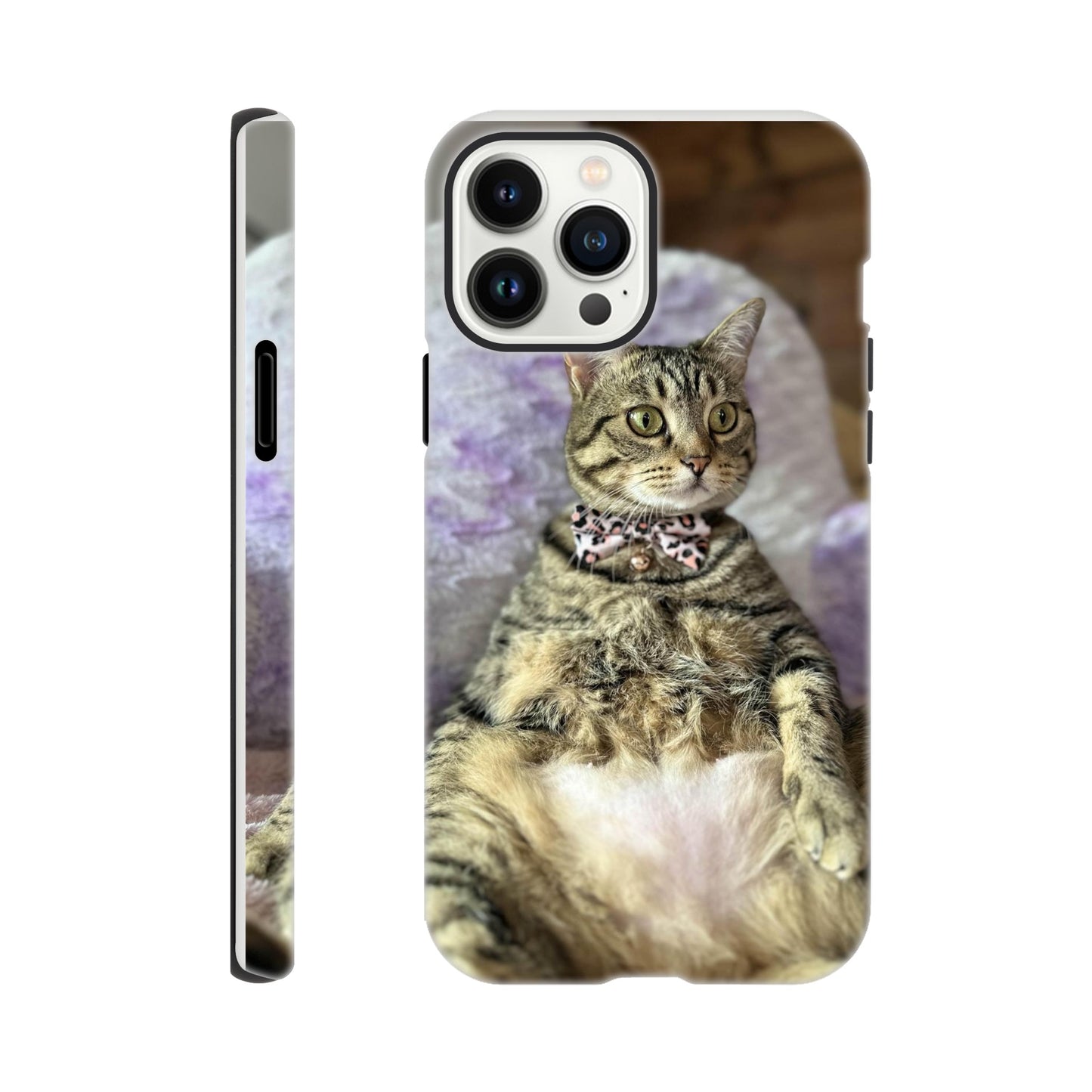 5797a019-fa8a-4638-aeea-b36d04cd06c0