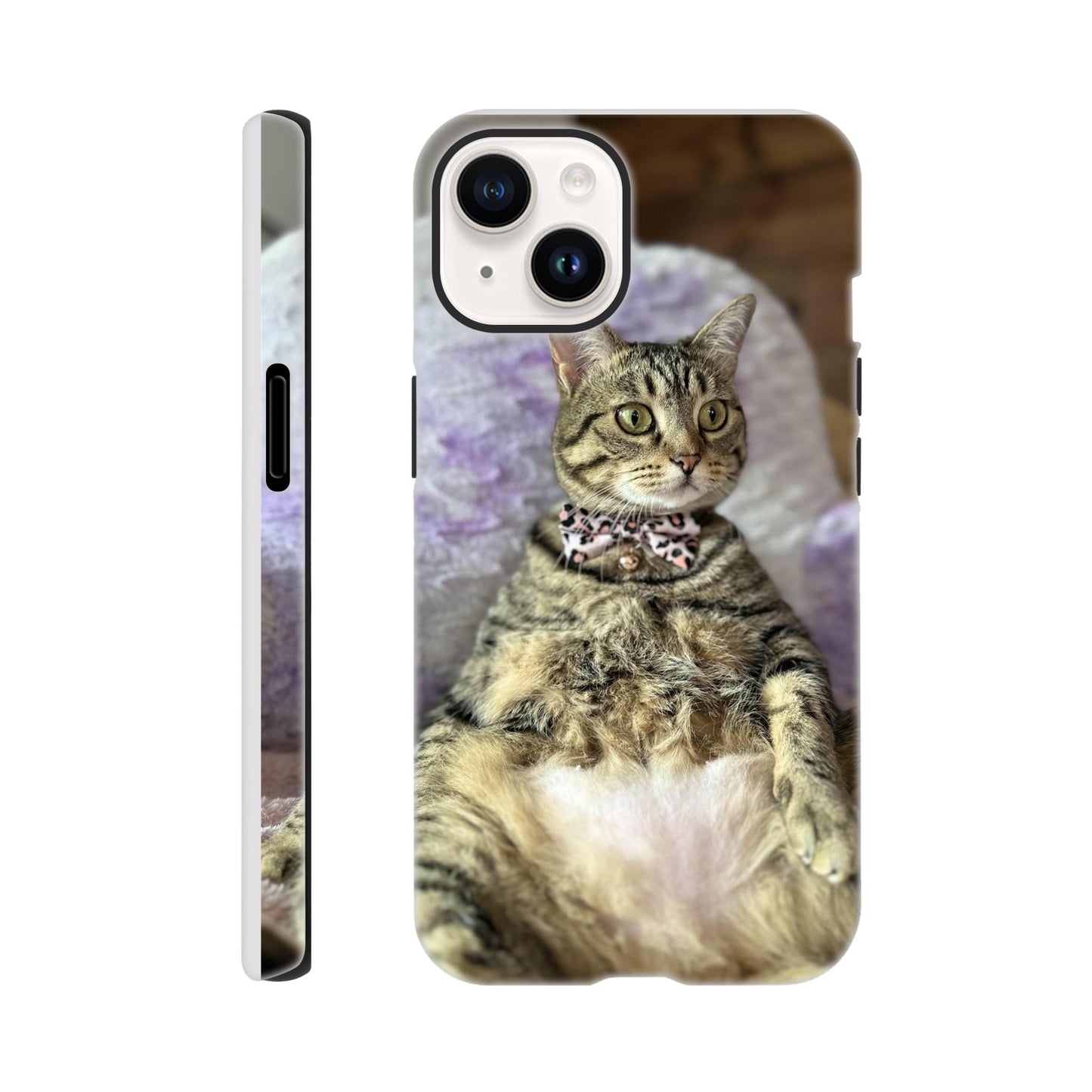 79732bf4-3954-4125-b88e-b24ce260da00