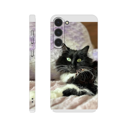 81cddc0d-aca7-47ff-8ce4-e3b875a04d49