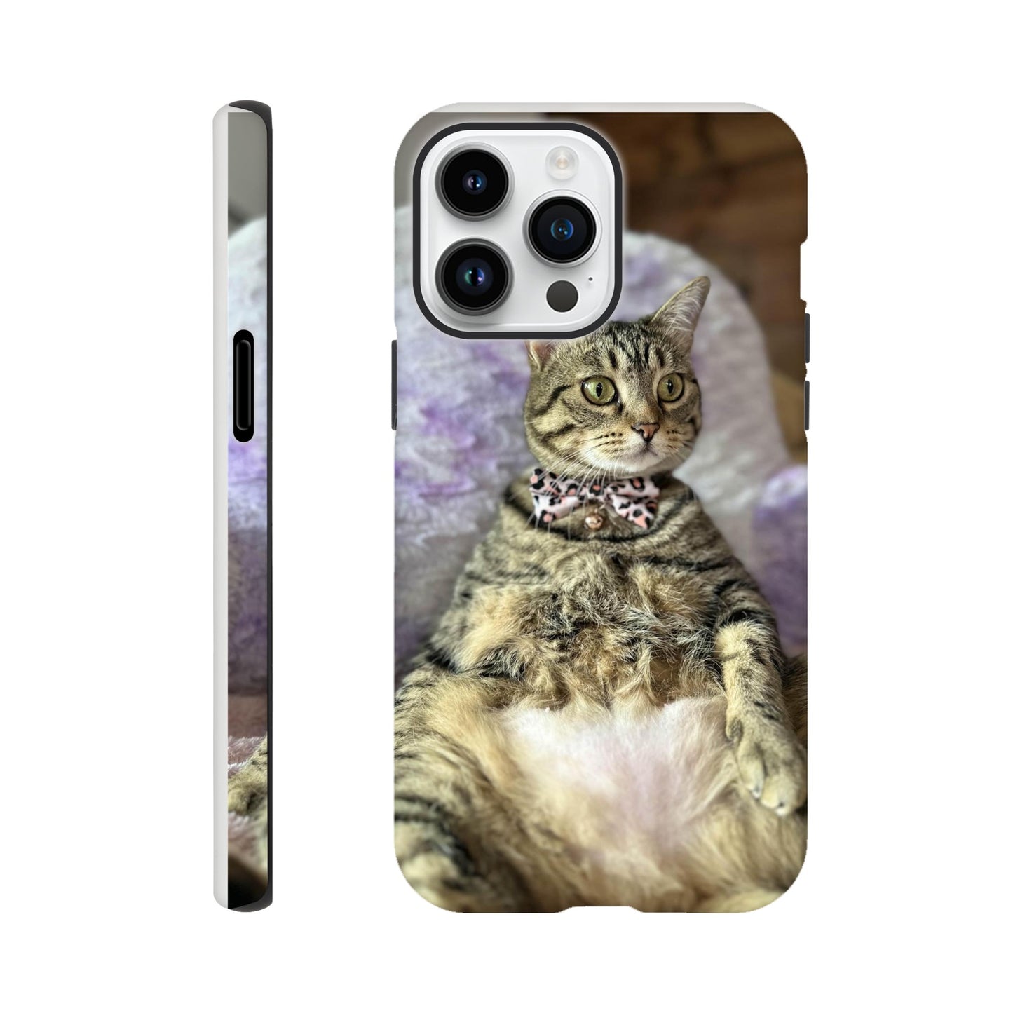 84f39e65-a760-4be3-ab74-dccf59efcd9e