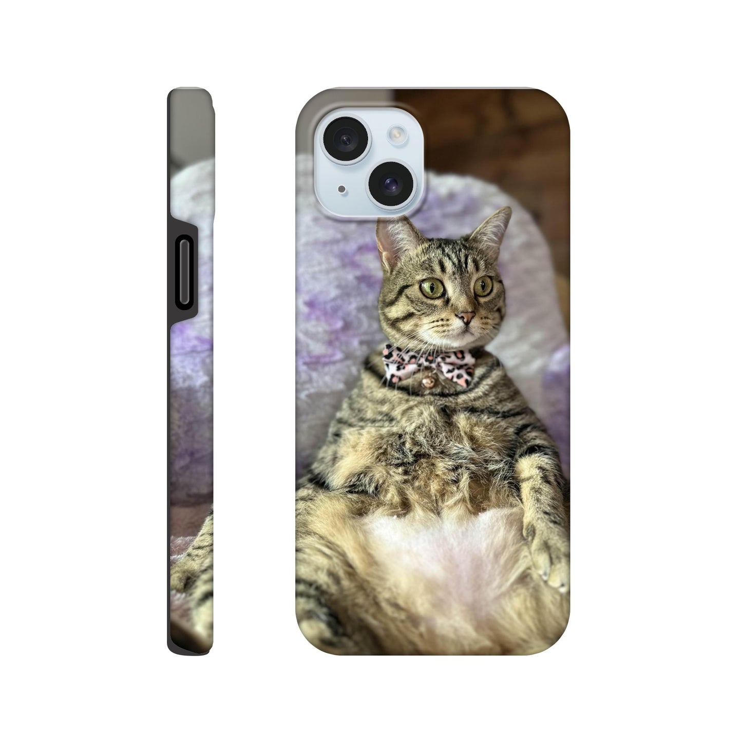 8a2eef15-18dd-4f03-9d2b-1f8571ced232