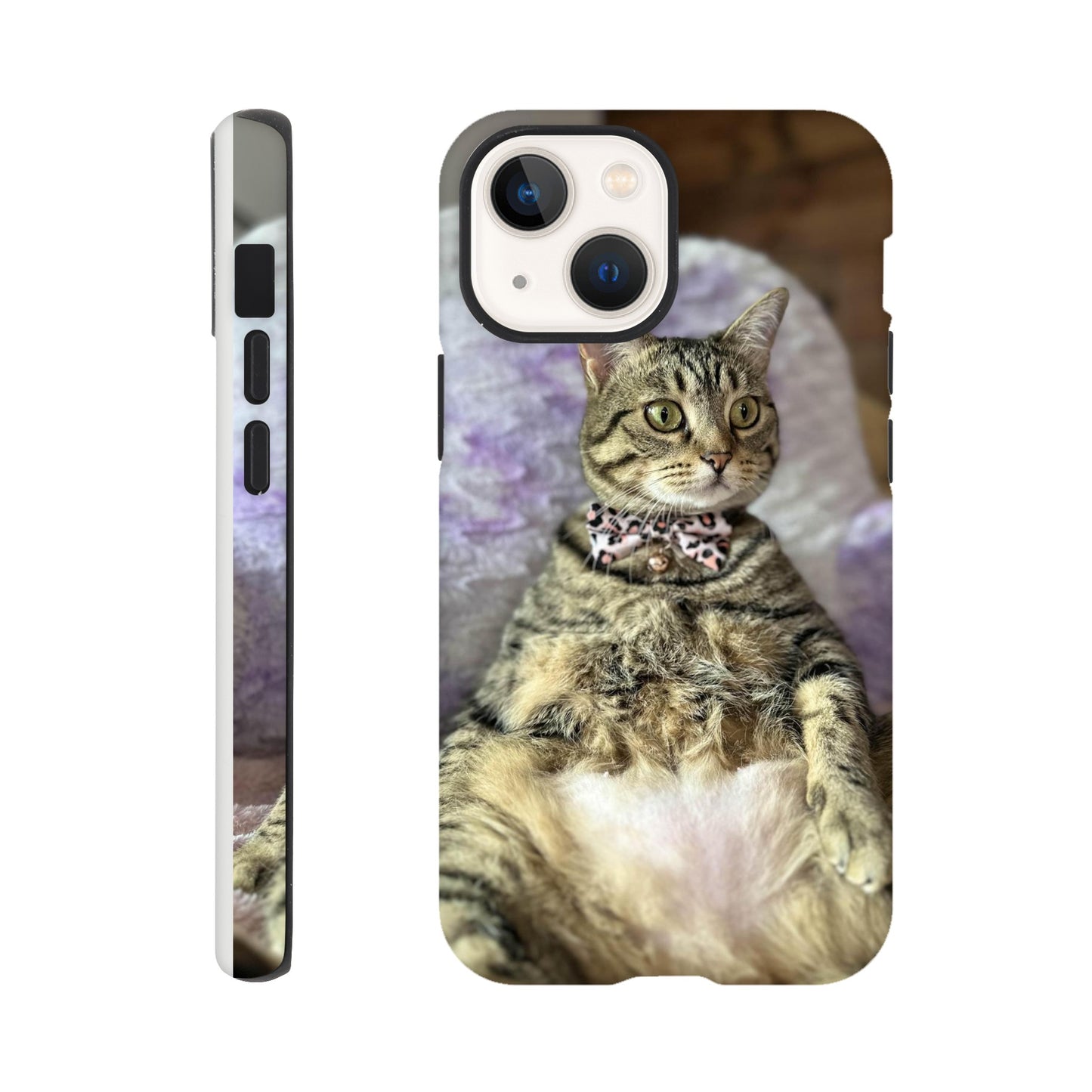 9bd0795d-af65-4114-8cdb-da2a342789c4