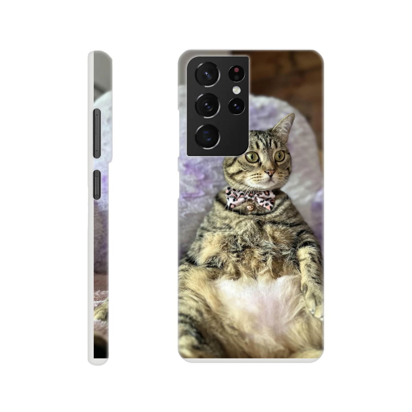 9ca1f758-8e05-4bdd-a850-3f6e38a8d264