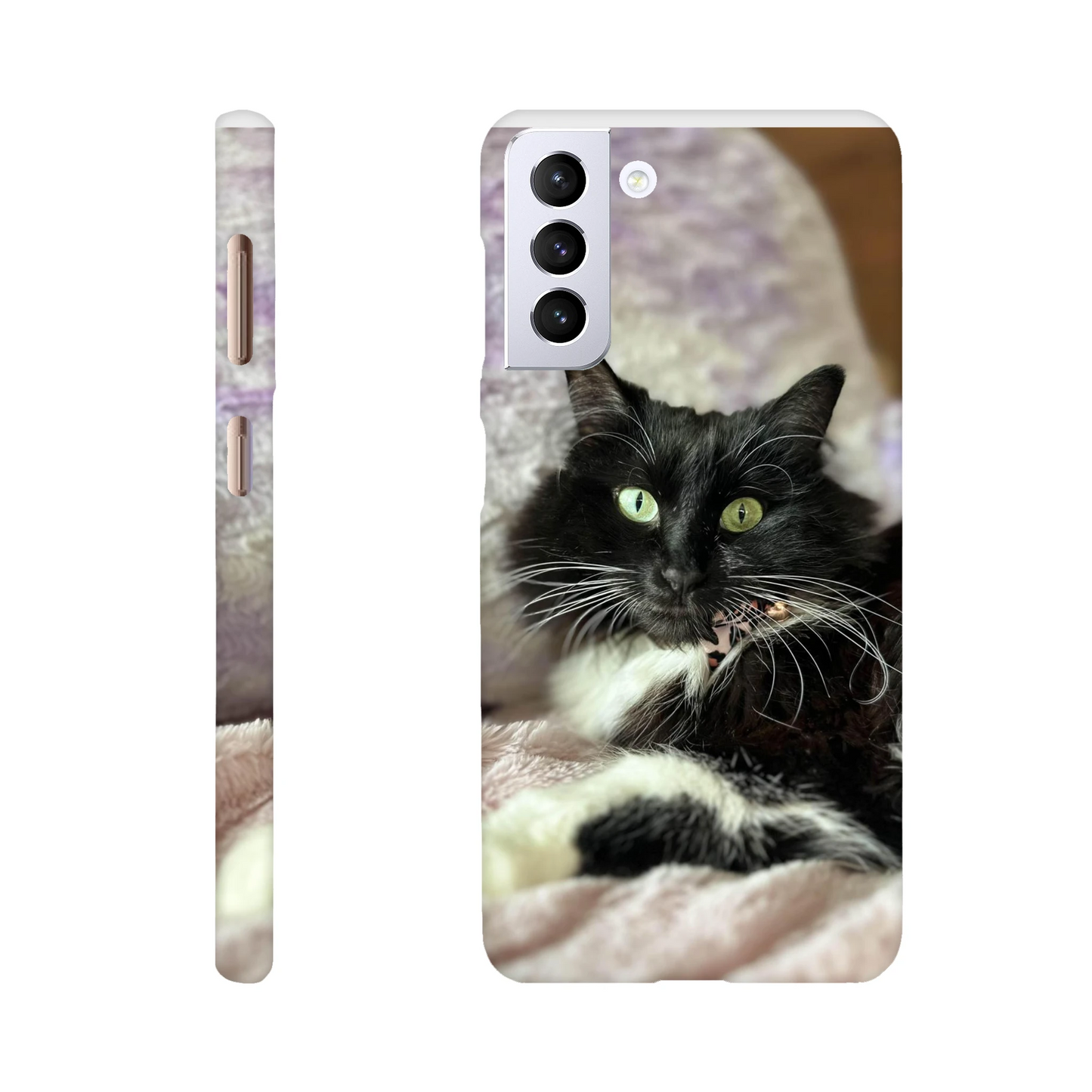 a63ff733-a8b5-4eea-872d-f64bea1a953f