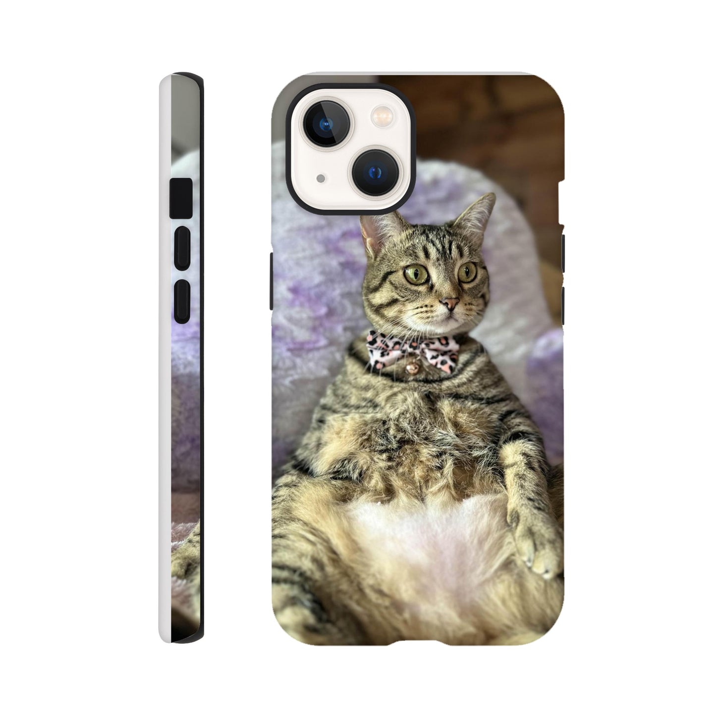 b484d287-2e90-4795-86c7-35d315b4c235