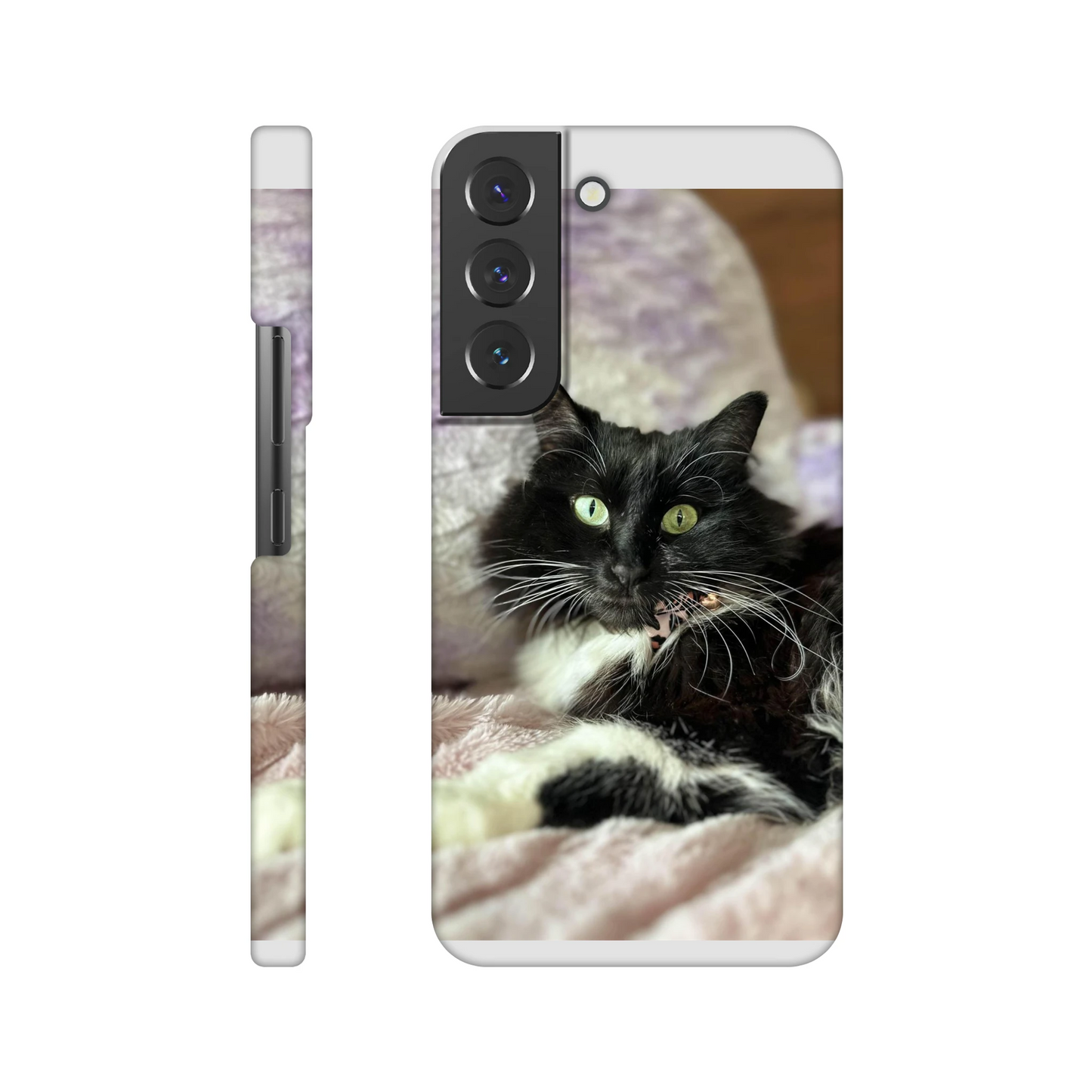 c22751b2-e6e9-42d0-b355-2542c9043837