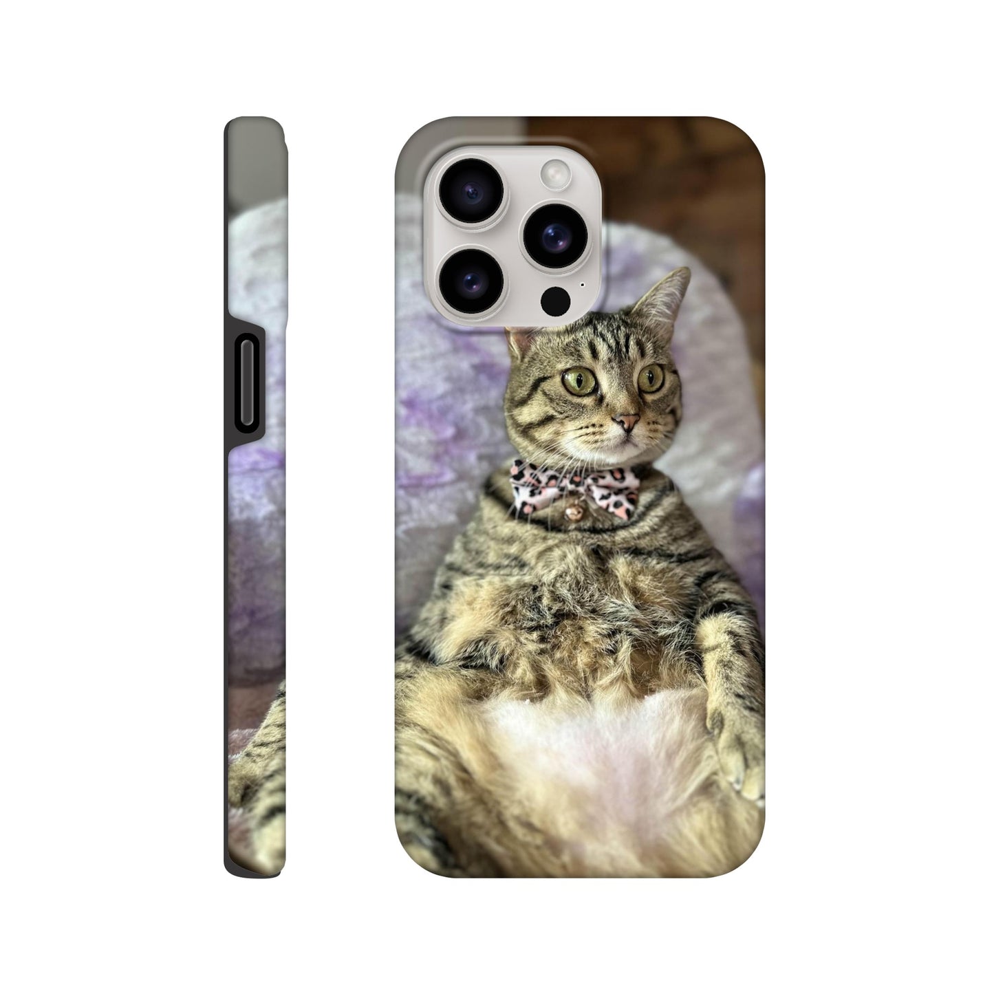 c68337d5-3de8-4161-b90c-ded7fea99eee