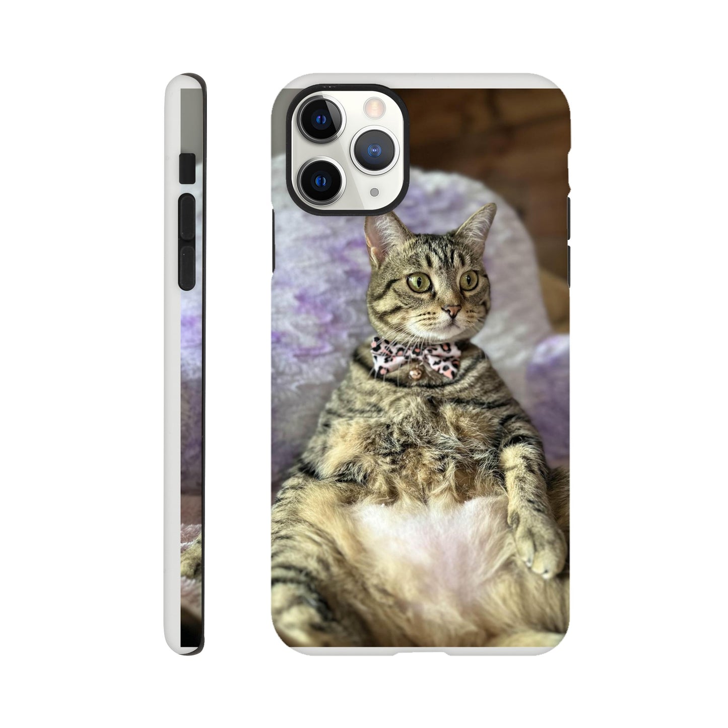 cdc215d2-4869-4b74-b31a-1e0b8dc56758