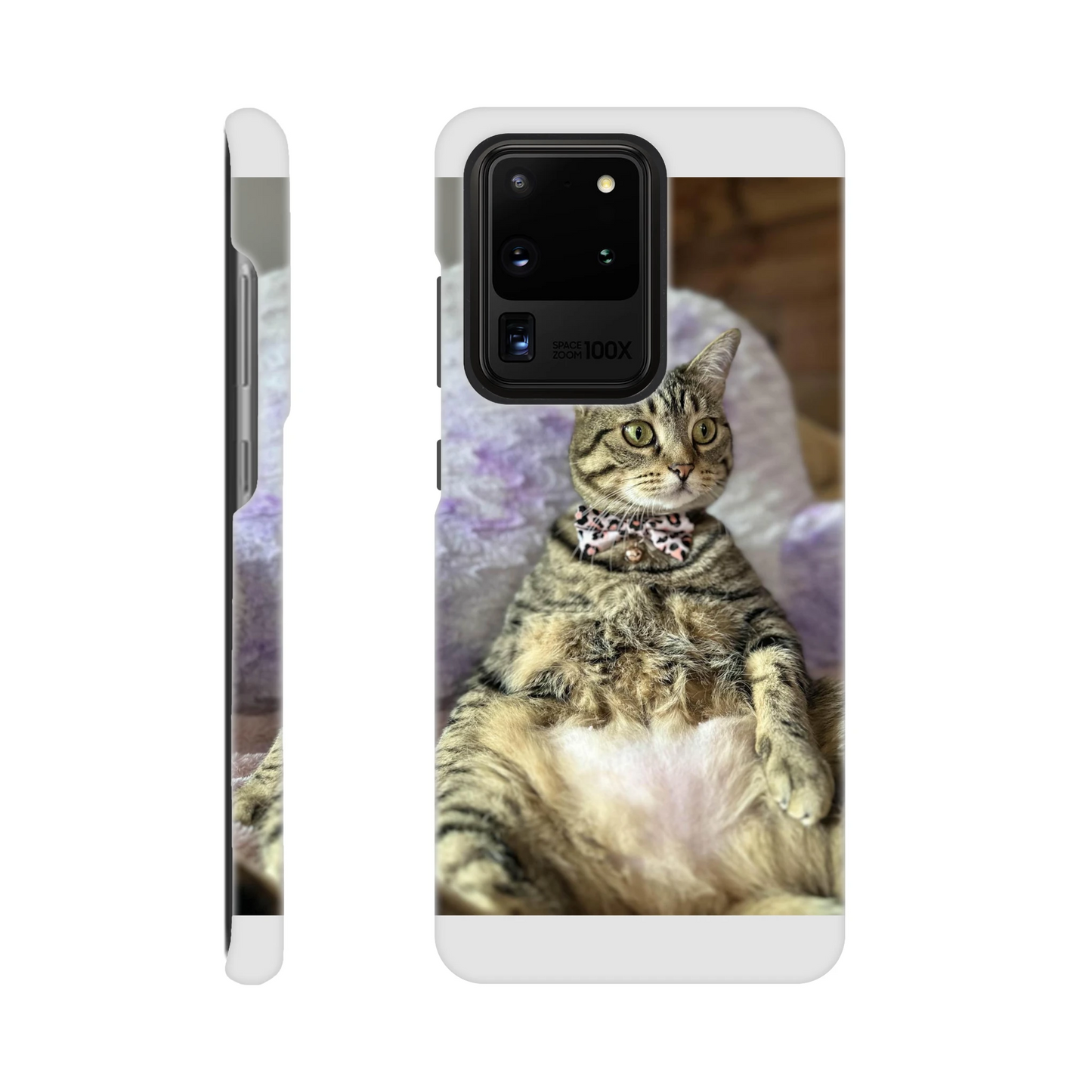 f71bafb8-d2d7-48dc-9fed-138a7ea7f61a